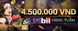 123bii